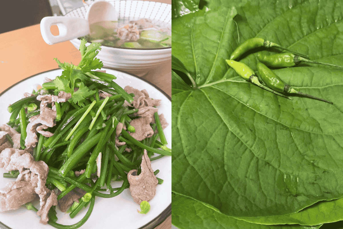 Hai ngày thấu hiểu Farm Rau Ròm: Chiến lược marketing bắt đầu từ mùi đất và giọt mồ hôi 5 Món ăn được nấu từ farm Rau Ròm